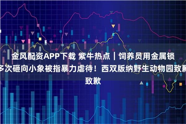 金风配资APP下载 紫牛热点︱饲养员用金属锁多次砸向小象被指暴力虐待！西双版纳野生动物园致歉